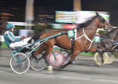 Ugly Duckling 171018-3